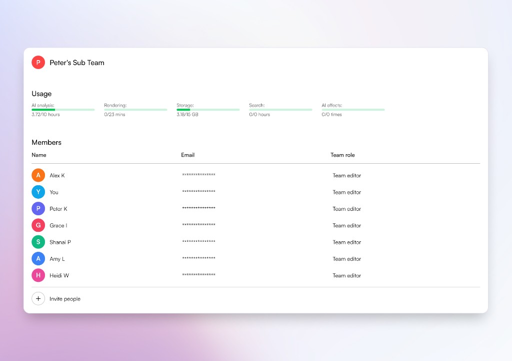 Choppity team workspace with usage tracking, member roles, and permissions